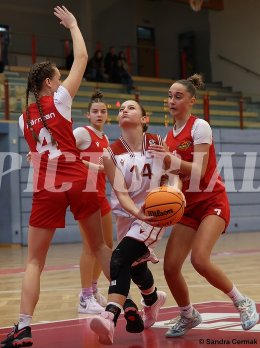 Basketball Superliga 2024/25, SLWU16 Traiskirchen Lions Young & Wild vs. Radenthein Garnet


