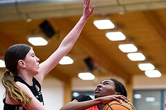 Basketball Superliga 2024/25, SLWU16 Traiskirchen Lionesses vs. BBC Nord Dragons


