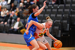 Basketball Damen Superliga 2024/25, 12.Runde BK Duchess Klosterneuburg vs. DBB Wels


