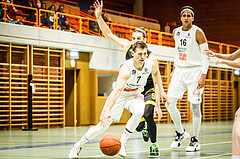 Basketball, Basketball Zweite Liga, Grunddurchgang 4.Runde, BBC Nord Dragonz, Fürstenfeld Panthers, 