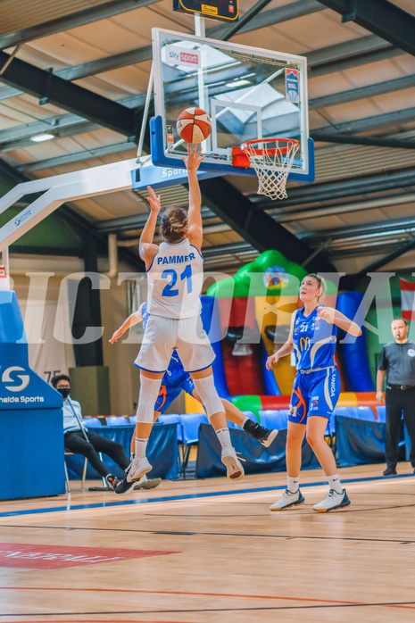 Basketball Basketball Superliga 2020/21, Grunddurchgang 2.Runde D.C. Timberwolves vs. DBB Linz
