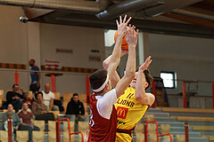 Basketball Zweite Liga 2024/25, Grunddurchgang 1.Runde Traiskirchen Lions NextGen vs. Future Team Steiermark


