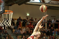 Basketball ABL 2015/16 Grunddurchgang 35.Runde Traiskirchen Lions vs. WBC Wels


