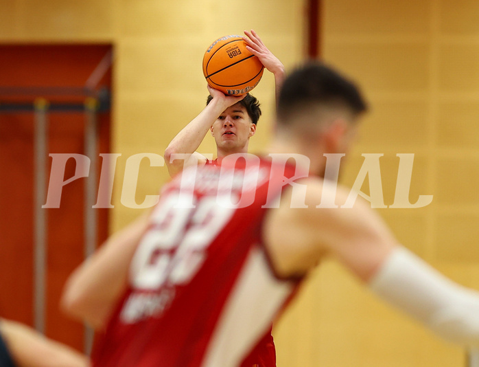 Basketball Zweite Liga 2024/25, Grunddurchgang 15.Runde Mistelbach Mustangs vs. Vienna Timberwolves