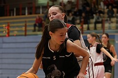 Basketball Superliga 2024/25, SLWU14 Traiskirchen Lionesses vs. ATUS Gratkorn Scorpions


