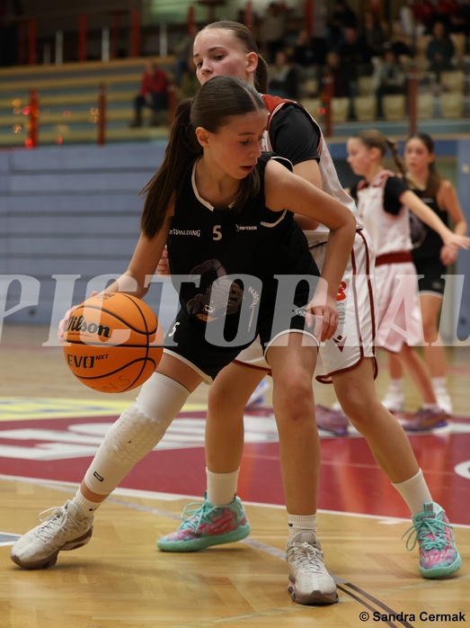 Basketball Superliga 2024/25, SLWU14 Traiskirchen Lionesses vs. ATUS Gratkorn Scorpions


