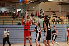 Basketball Superliga 2024/25, SLWU16 Traiskirchen Lionesses vs. DBK Steyrer Witch Cadets


