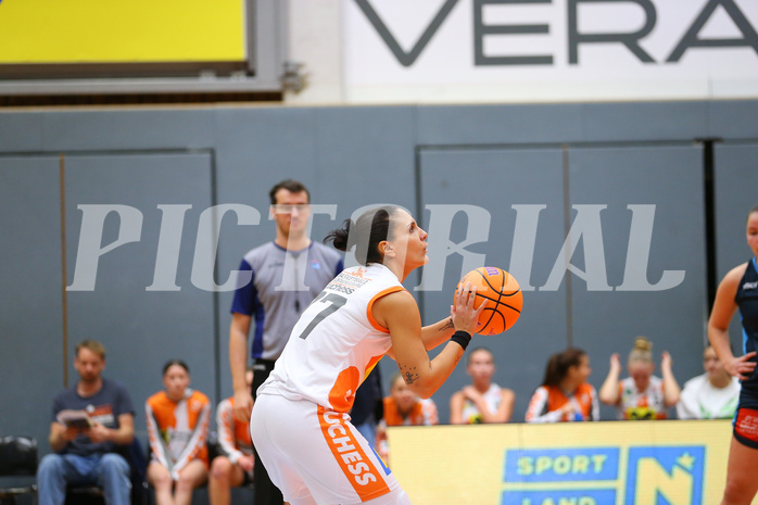 Basketball Damen Superliga 2024/25, Grunddurchgang 5.Runde BK Duchess Klosterneuburg vs. Vienna Timberwolves


