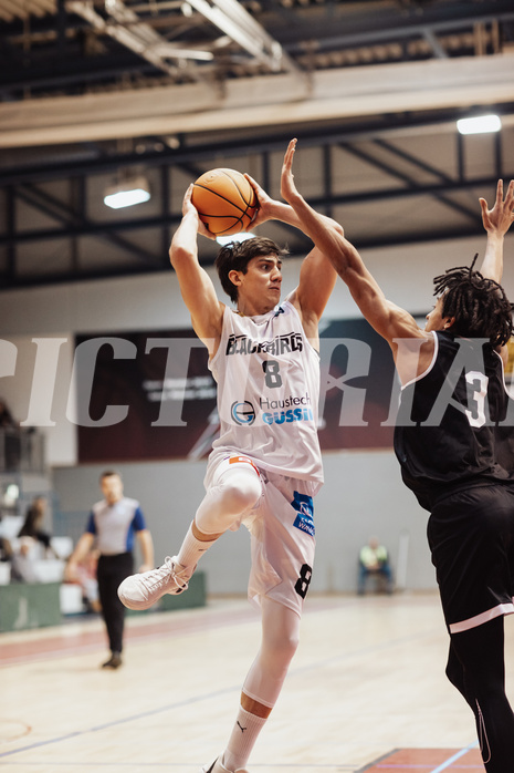 Basketball, Basketball Zweite Liga 2023/24, Grunddurchgang 14.Runde, Blackbirds G