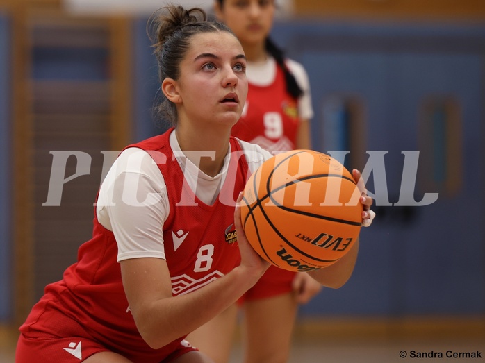 Basketball Superliga 2024/25, SLWU16 Traiskirchen Lions Young & Wild vs. Radenthein Garnet


