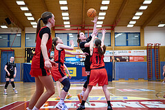 Basketball Superliga 2024/25, SLWU14 Traiskirchen Lionesses vs. Gratkorn Scorpions


