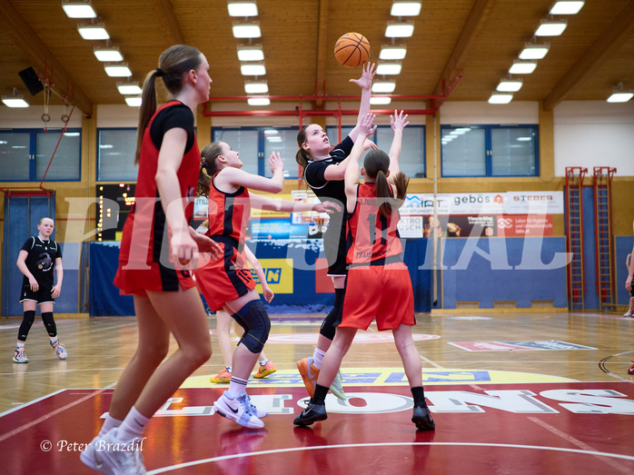 Basketball Superliga 2024/25, SLWU14 Traiskirchen Lionesses vs. Gratkorn Scorpions


