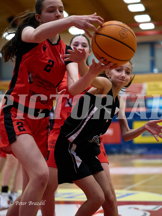 Basketball Superliga 2024/25, SLWU16 Traiskirchen Lionesses vs. BBC Nord Dragons


