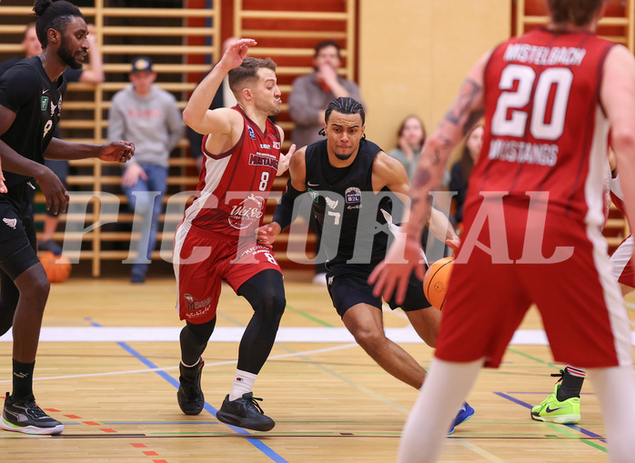 Basketball Zweite Liga 2024/25, Grunddurchgang 21.Runde Mistelbach Mustangs vs. Raiders Tirol



