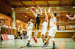 Basketball, Basketball Zweite Liga, Grunddurchgang 4.Runde, BBC Nord Dragonz, Fürstenfeld Panthers, 