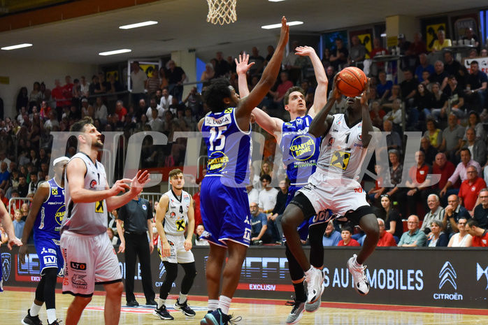 Basketball Superliga 2021/22, 
Viertelfinale Spiel 4, Flyers Wels vs Swans Gmunden