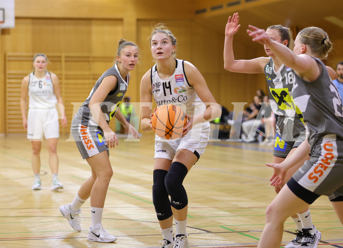 Basketball Damen Superliga 2023/24, Grunddurchgang .Runde Basket Flames vs. Duchess Klosterneuburg