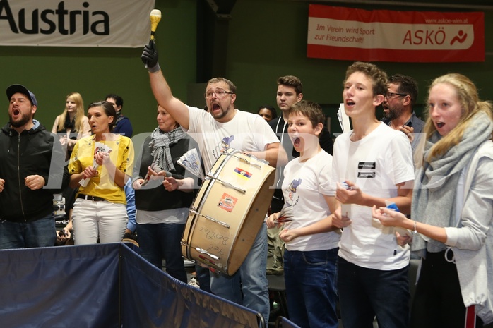 Basketball ABL 2018/19, Grundurchgang 7.Runde D.C. Timberwolves vs. Gmunden Swans
 Basketball ABL 2018/19, Grundurchgang 7.Runde D.C. Timberwolves vs. Gmunden Swans