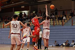 Basketball Superliga 2024/25, SLMU16 Traiskirchen Lions vs. BC Vienna


