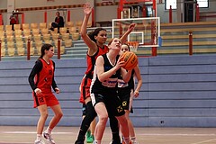 Basketball Superliga 2024/25, SLWU16 Traiskirchen Lionesses vs. DBK Steyrer Witch Cadets



