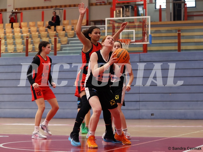 Basketball Superliga 2024/25, SLWU16 Traiskirchen Lionesses vs. DBK Steyrer Witch Cadets


