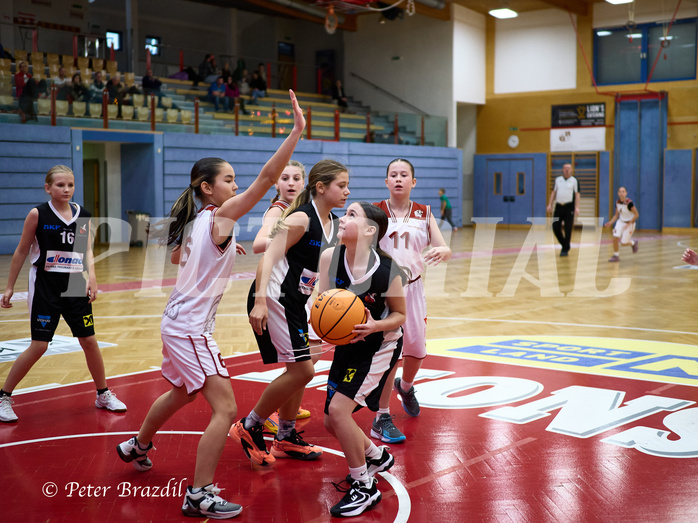 Basketball Superliga 2024/25, SLWU14 Traiskirchen Lionesses vs. DBK Steyrer Witches


