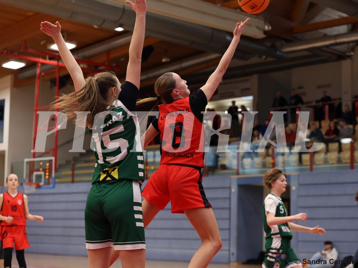 Basketball Superliga 2024/25, SLWU14 Traiskirchen Lionesses vs. UBI Graz


