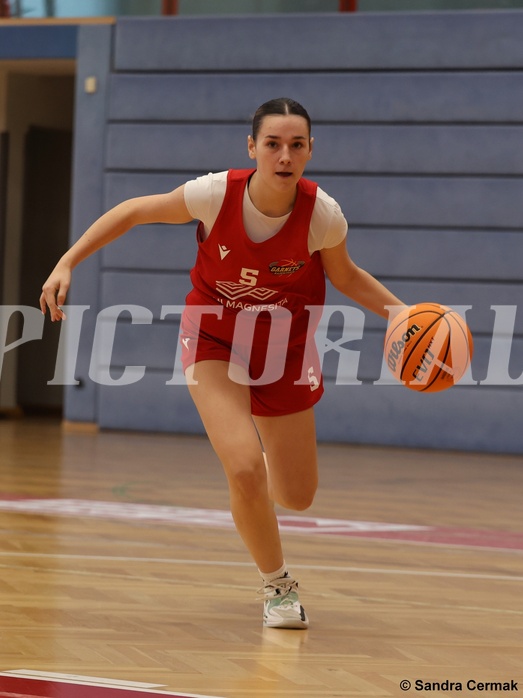 Basketball Superliga 2024/25, SLWU16 Traiskirchen Lions Young & Wild vs. Radenthein Garnet



