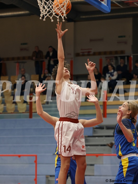 Basketball Superliga 2024/25, SLMU16 Traiskirchen Lions vs. St. Pölten


