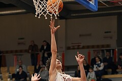 Basketball Superliga 2024/25, SLMU16 Traiskirchen Lions vs. St. Pölten


