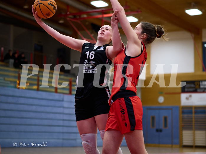 Basketball Superliga 2024/25, SLWU16 Traiskirchen Lionesses vs. BBC Nord Dragons


