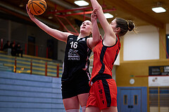 Basketball Superliga 2024/25, SLWU16 Traiskirchen Lionesses vs. BBC Nord Dragons


