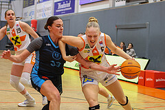 Basketball Damen Supercup 2024/25, 4.Runde BK Duchess Klosterneuburg vs. Vienna Timberwolves


