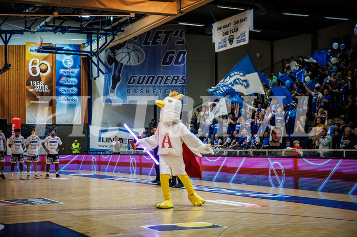 Basketball, Basketball Austria Cup 2022/23, Halbfinale 1, Oberwart Gunners, Gmunden Swans, #mascot