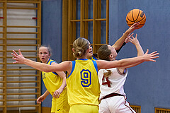 Basketball Superliga 2024/25, SLWU16 Traiskirchen Lionesses vs. UBBC Herzogenburg


