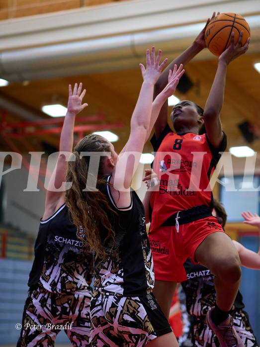 Basketball Superliga 2024/25, SLMU16 Traiskirchen Lionesses vs. VKL Vikings Kammer



