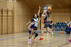 16.02.2025 Österreichischer Basketballverband 2024/25, SLWU16 Vienna United vs Basket Duchess