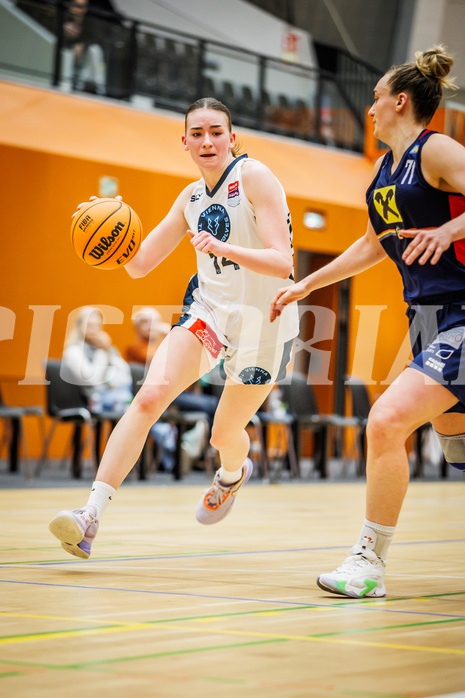 Basketball, Win2Day Basketball Damen Superliga 2023/24, Grunddurchgang 14.Runde, Vienna Timberwolves, SKN St. Pölten, Melanie Fischer (14)