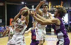 Basketball ABL 2018/19, Grunddurchgang 18.Runde BC Vienna vs. D.C. Timberwolves


