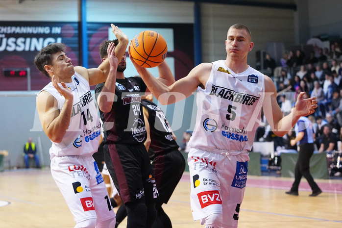 Basketball 2. Liga 2024/25, Grunddurchgang 20.Runde , Güssing vs. Mistelbach


