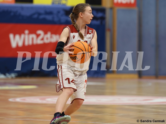 Basketball Superliga 2024/25, SLWU14 Traiskirchen Lionesses vs. ATUS Gratkorn Scorpions


