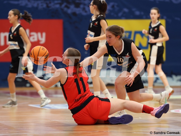 Basketball Superliga 2024/25, SLWU16 Traiskirchen Lionesses vs. DBK Steyrer Witch Cadets


