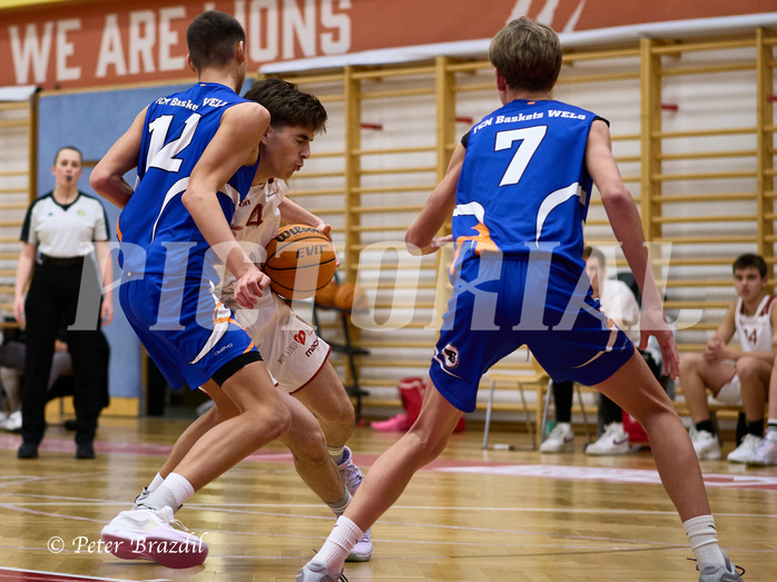 Basketball Superliga 2024/25, SLMU16 Traiskirchen Lionesses vs. FCN Baskets Wels


