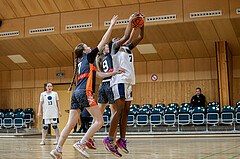 23.02.2025 Österreichischer Basketballverband 2024/25, SLWU16 Vienna Timberwolves vs. Basket Duchess
