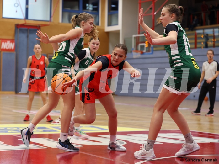 Basketball Superliga 2024/25, SLWU14 Traiskirchen Lionesses vs. UBI Graz


