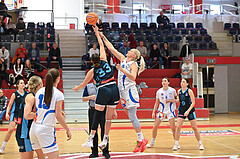Basketball Superliga 2024/25, Grunddurchgang 8.Runde, DBB Wels vs Vienna Timberwolves,

