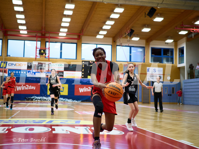Basketball Superliga 2024/25, SLWU16 Traiskirchen Lionesses vs. BBC Nord Dragons


