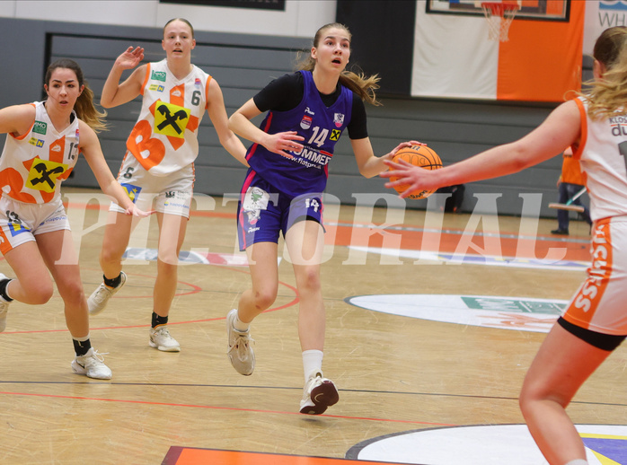 Basketball Damen Superliga 2023/24, Grunddurchgang 12.Runde BK Duchess Klosterneuburg vs. UBSC Graz