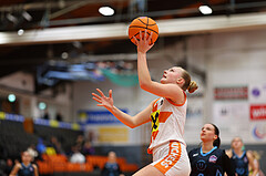 Basketball Damen Supercup 2024/25, 4.Runde BK Duchess Klosterneuburg vs. Vienna Timberwolves


