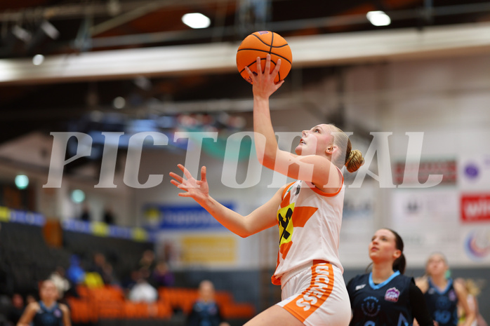 Basketball Damen Supercup 2024/25, 4.Runde BK Duchess Klosterneuburg vs. Vienna Timberwolves


